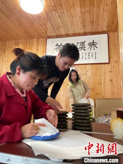 資料圖：杜贏(左二)在整理白茶餅?！×执阂?攝